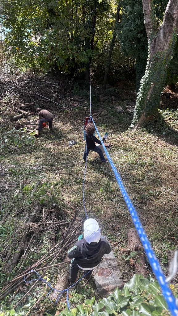 Squadra al lavoro nel bosco con corde e attrezzi per preparare l area della casa sull albero